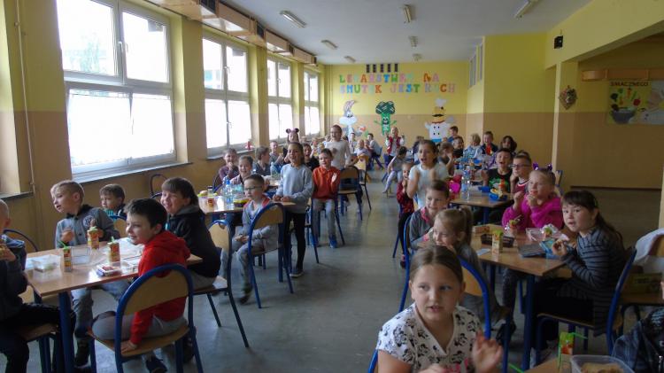 (szerokość: 750 / wysokość: 421)