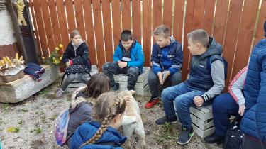 (szerokość: 375 / wysokość: 210)