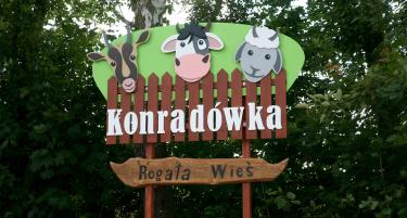 (szerokość: 375 / wysokość: 201)