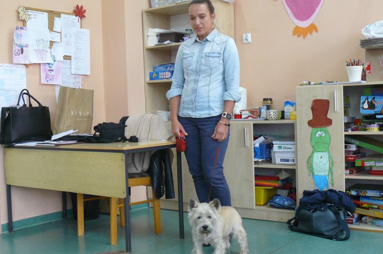 (szerokość: 750 / wysokość: 498)