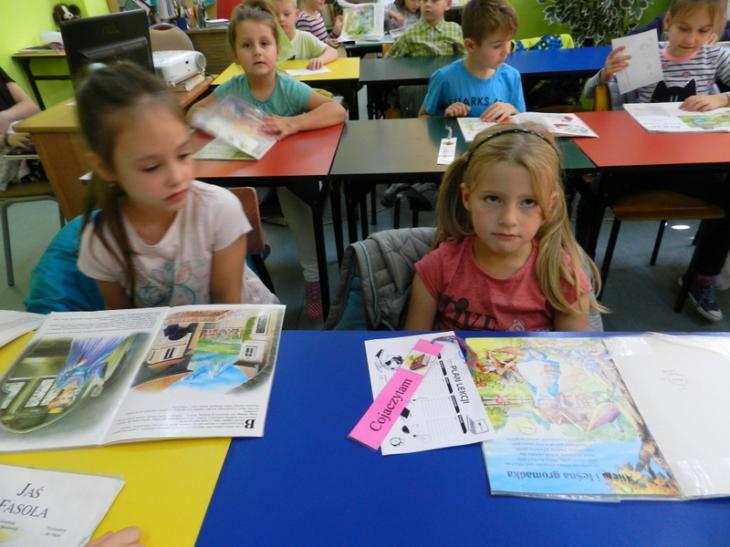 (szerokość: 730 / wysokość: 547)