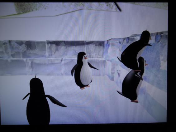 (szerokość: 565 / wysokość: 423)