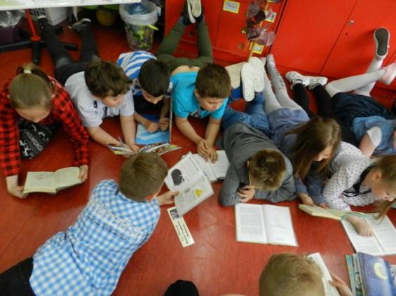 (szerokość: 565 / wysokość: 423)