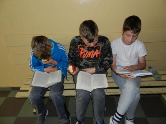 (szerokość: 565 / wysokość: 423)