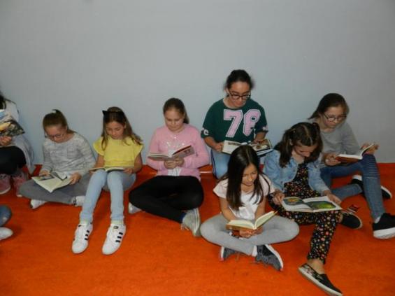 (szerokość: 565 / wysokość: 423)