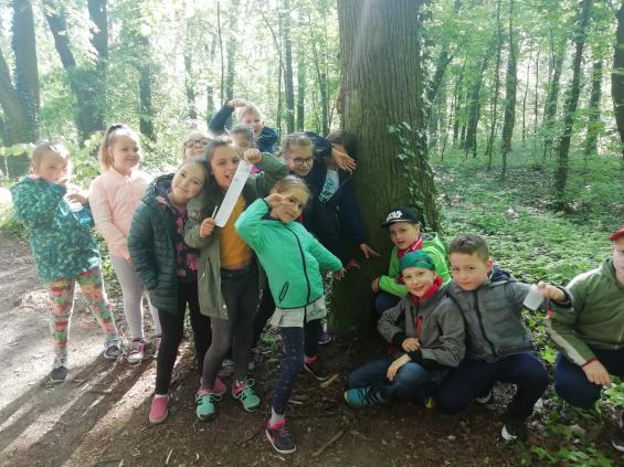 (szerokość: 565 / wysokość: 423)