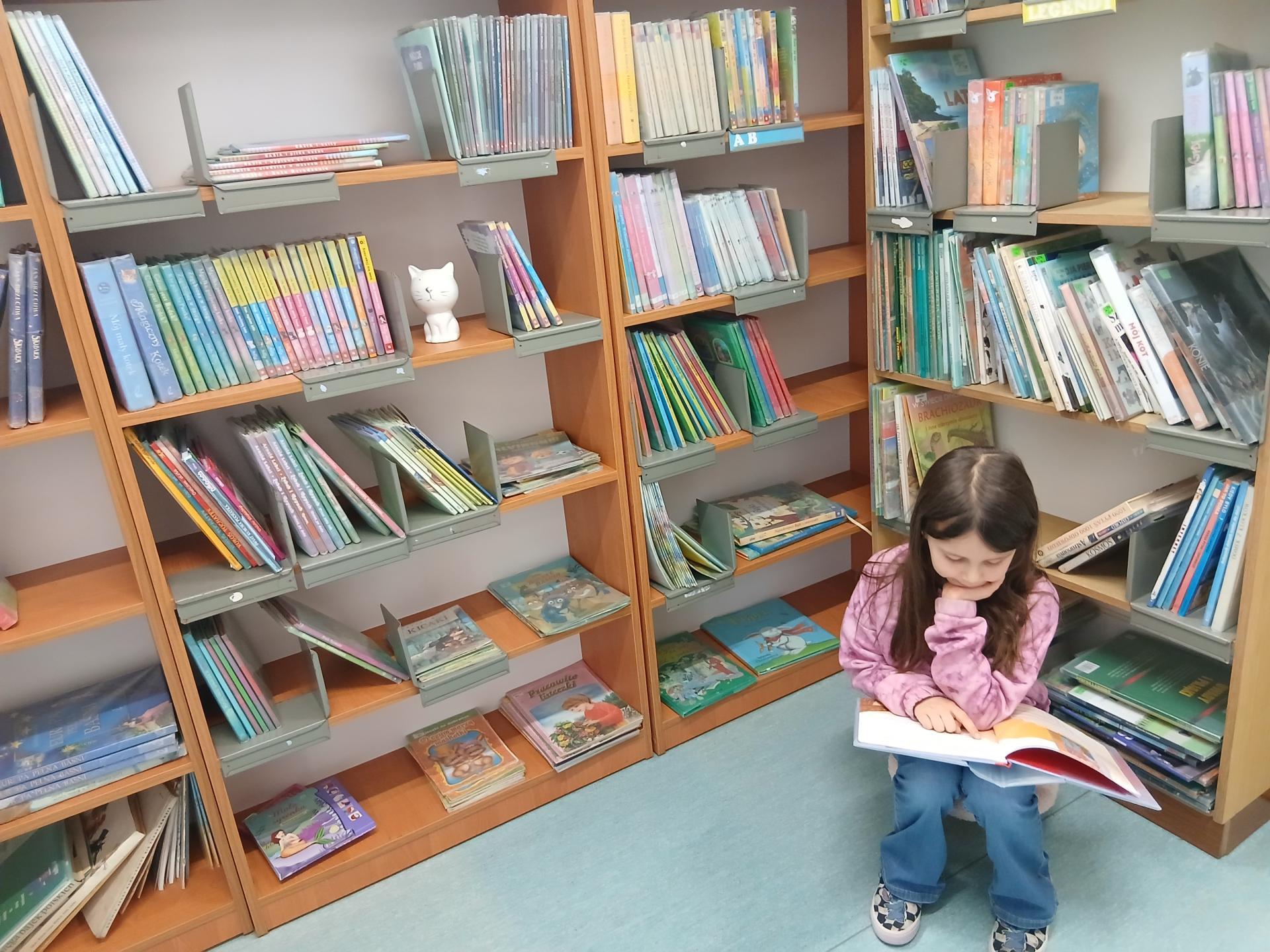 biblioteka szkolna