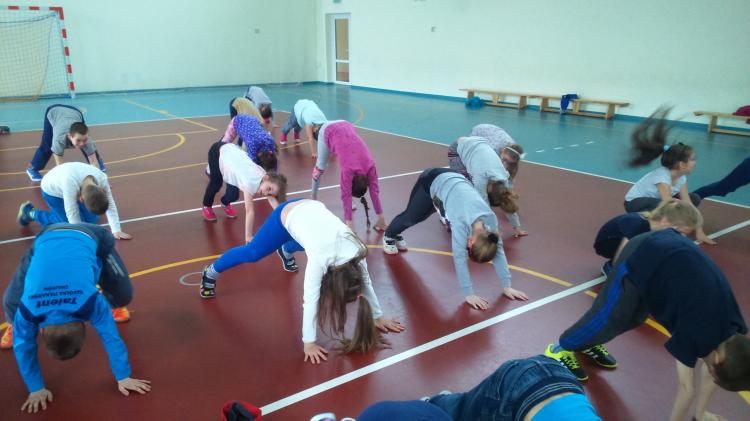 (szerokość: 750 / wysokość: 421)