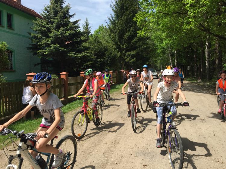 (szerokość: 750 / wysokość: 562)