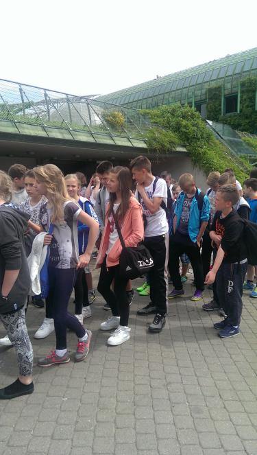 (szerokość: 375 / wysokość: 663)