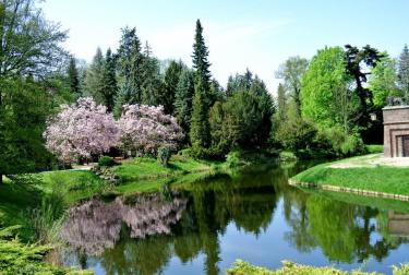 (szerokość: 375 / wysokość: 252)