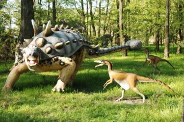 (szerokość: 375 / wysokość: 249)