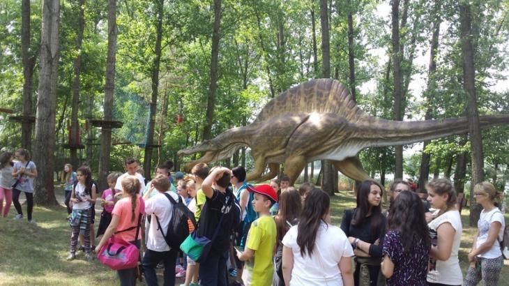 (szerokość: 730 / wysokość: 410)