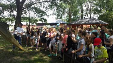 (szerokość: 375 / wysokość: 210)