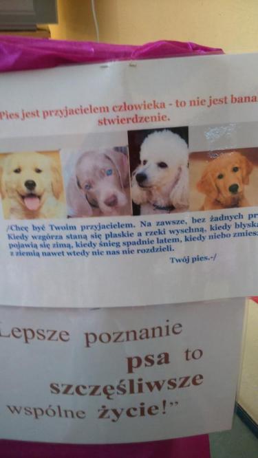 (szerokość: 375 / wysokość: 666)