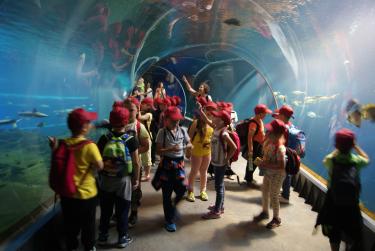 (szerokość: 375 / wysokość: 251)