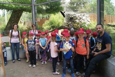 (szerokość: 375 / wysokość: 251)