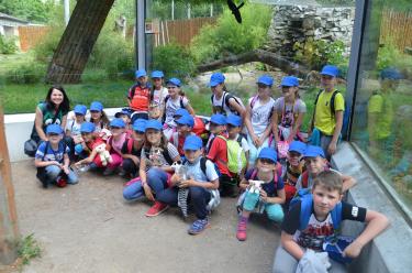 (szerokość: 375 / wysokość: 248)