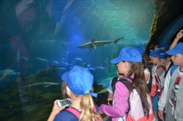 (szerokość: 375 / wysokość: 248)