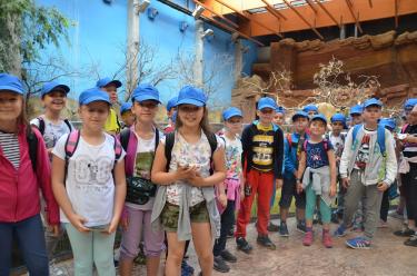 (szerokość: 375 / wysokość: 248)