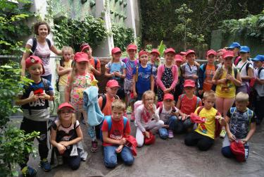 (szerokość: 375 / wysokość: 251)