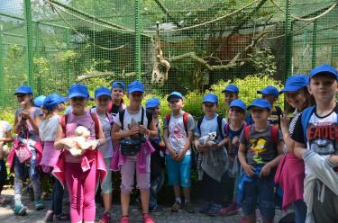 (szerokość: 375 / wysokość: 248)