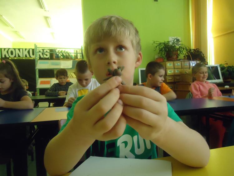 (szerokość: 750 / wysokość: 562)